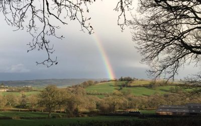 Rower Fort Rainbow – Shortest Day!